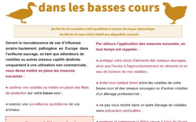 Influenza aviaire – Renforcement des mesures