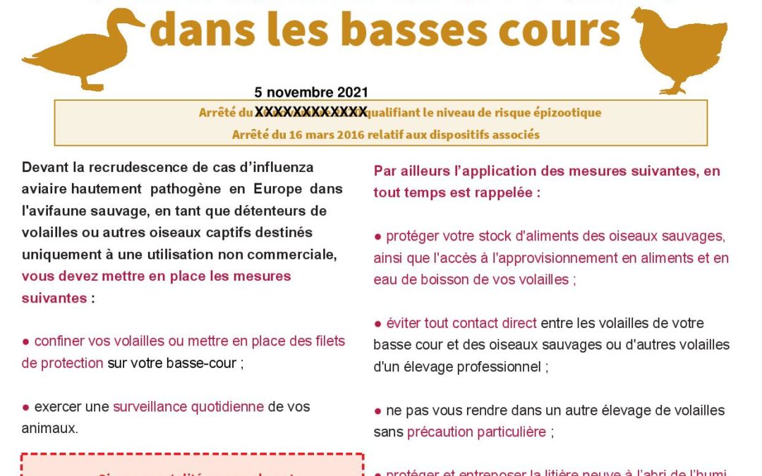 Renforcement des mesures de biosécurité pour lutter contre l’influenza aviaire dans les basses cours